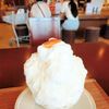 【日常】ＭＲＩの日 は ブログ記念日