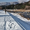 塩原温泉郷箒川の ダイサギ 他