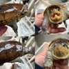 5/28 Turtle Garage Meeting 予告　ハラガケガメWCペア