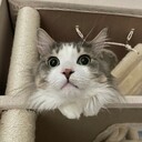 京ジイのモノローグ