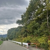 紅葉が始まらない