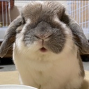 ふくの映画ブログ2