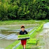 虎史朗の田植え