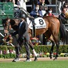2025年初出走はラパンラピッド！気になる鞍上は…？