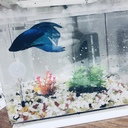 テニス大好きマンの日記(ひー)