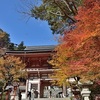 鞍馬寺の紅葉2025：見頃や色づき状況、混雑回避の裏ワザ！
