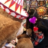赤ちゃんの白髪は宝の毛 ままえになった日 赤ちゃんの白髪は宝の毛 ままえになった日