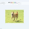 ペイントで写真に顔スタンプを合成する
