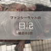 【日記】最近のうちの子記録
