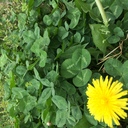 akane_yamazawa’s blog