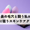 鼻の毛穴と闘う私が次に狙うスキンケアグッズ