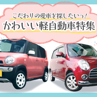 代で初めて購入する人におすすめの車種7選 選ぶポイントも紹介 クルマのわからないことぜんぶ 車初心者のための基礎知識 Norico ノリコ