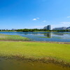 福田海苔店の海苔を買いに谷津干潟へ。その足で有楽町へ行ってきた。