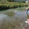 鱒釣り大会