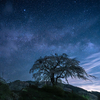 🌌星が降る夜❗