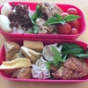 厚揚げの煮物弁当