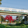 西武多摩川線に乗って野川公園のヒガンバナを見に出掛けてみた