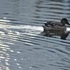 大師殿から朝日を拝む冬の朝