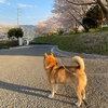 持たない暮らしが揺らぐ