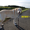 今年の秋は少しづつ