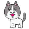かわいいラグドール のイラスト