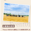  【５/３１  17:00】Pascoの和小麦・北海道プレゼントキャンペーン【 オープン / web】