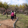 万博記念公園講習会