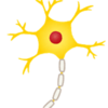 薬剤師国家試験研究所 生物