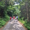 雲仙九千部岳のヤマボウシ