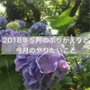 2018年５月のふりかえりと、今月のやりたいこと