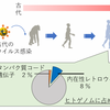 じじぃの「感染症・天然痘根絶の歴史！病気の雑学」