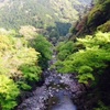 四国ツーリングから戻りました！ジビエ編