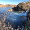 今週の釣果報告🎣鬼怒川②