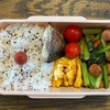 パパが作った弁当（No.263）