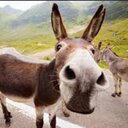 とある忘れんぼうの日常と生活