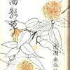 「音楽一夕話」「呪いの葉書」　成瀬無極