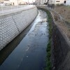 〈新美貴資の「めぐる。(99)」〉海から人生、川を旅する　ウナギに関する３冊を紹介