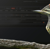 きれいめディストロ