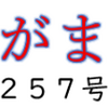 南区の情報誌『さがまち』257号です ‼ (2025/8/4)