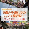【2026年子連れベトナム旅行】ハノイのブックストリート「Phố Sách Hà Nội（フォー・サック・ハ・ノイ）」は、書店が立ち並び、日本のキャラクターも展示されてる、映えスポットで散策にオススメ！