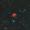 NGC1579