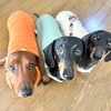 久し振りに服購入♪