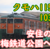 祝！115系 クモハ115‐1030 青梅鉄道公園へ！保存の会騒動など乗り越え安住の地 