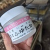 キャベツの種まき　8/16