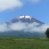 富士山麓の野鳥達（オオジシギ・カッコー）