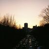 日々のフィルムvol3 大須の夕暮れ