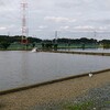 台風が来る前に座間養魚場へ