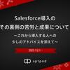 Salesforce導入のその裏側の苦労と成果について　～これから導入する人への少しのアドバイスを添えて～