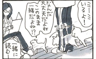 夜廻り猫【第一一一一話】透明な猫（下）