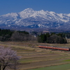 残雪の妙高山と片貝の桜、そして413・455系を撮る！